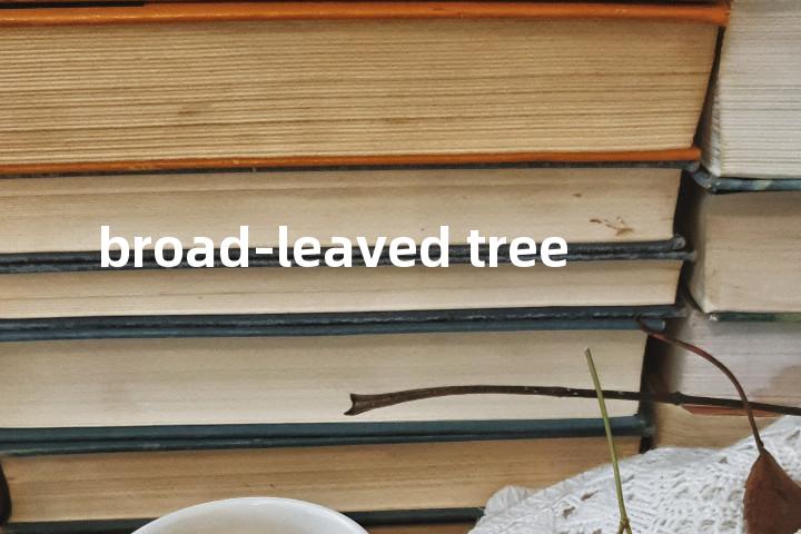 broad-leaved tree单词图解，单词释义场景配图