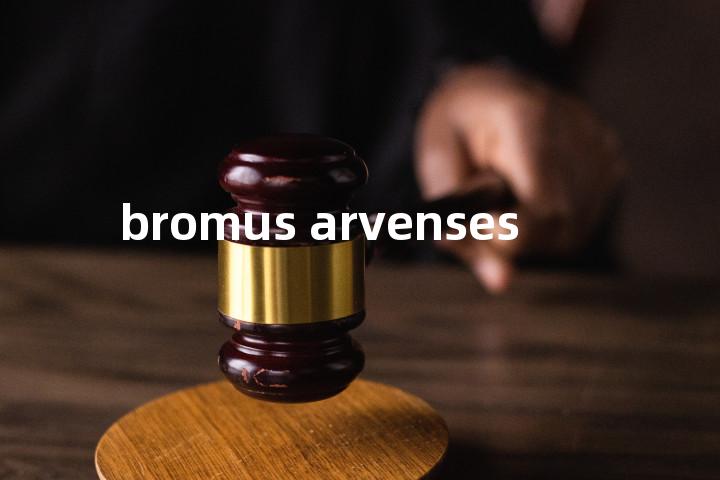 bromus arvenses单词图解，单词释义场景配图