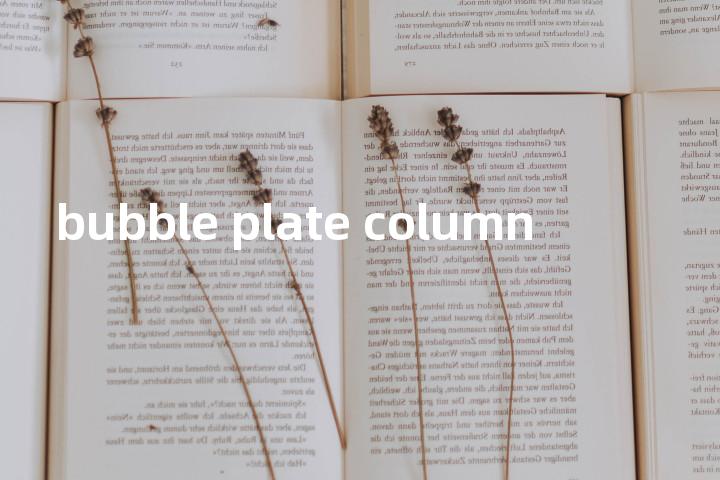 bubble plate column单词图解，单词释义场景配图
