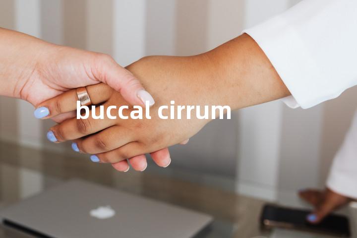 buccal cirrum单词图解，单词释义场景配图