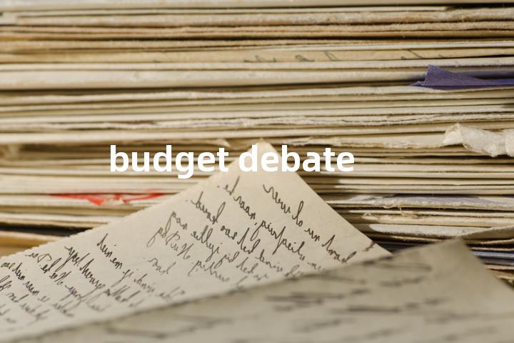 budget debate单词图解，单词释义场景配图