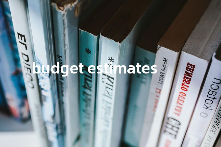 budget estimates单词图解，单词释义场景配图