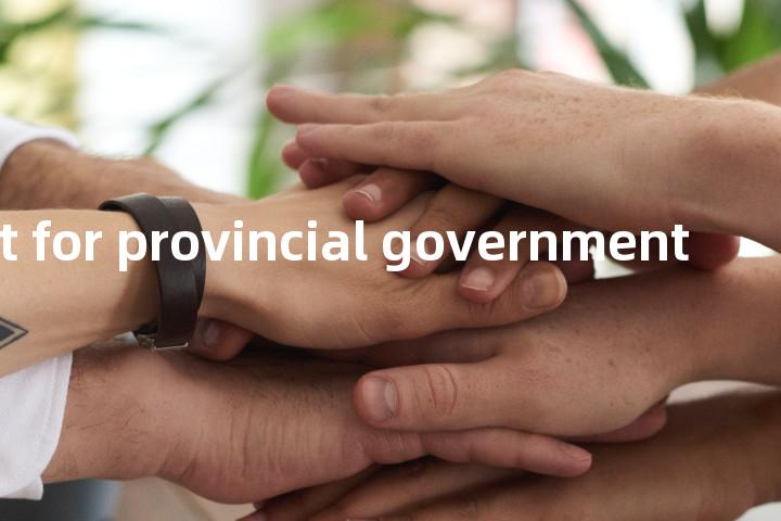 budget for provincial government单词图解，单词释义场景配图