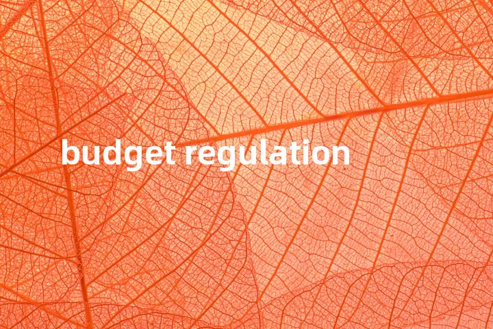 budget regulation单词图解，单词释义场景配图