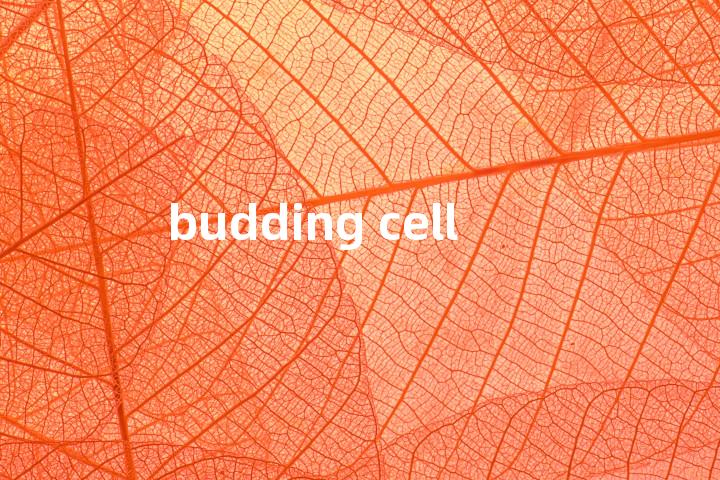 budding cell单词图解，单词释义场景配图