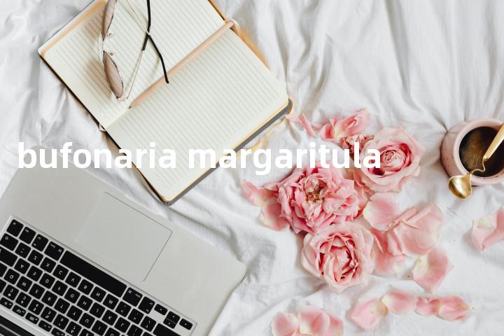 bufonaria margaritula单词图解，单词释义场景配图