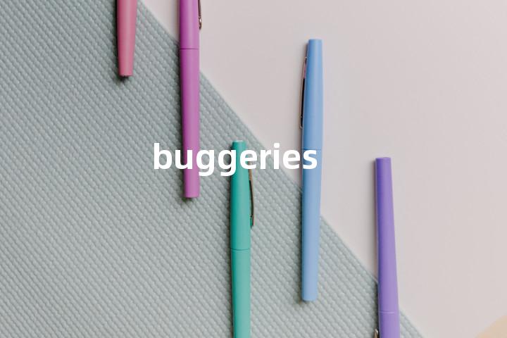 buggeries单词图解，单词释义场景配图