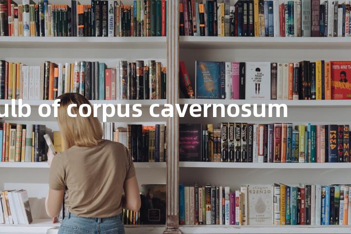 bulb of corpus cavernosum单词图解，单词释义场景配图