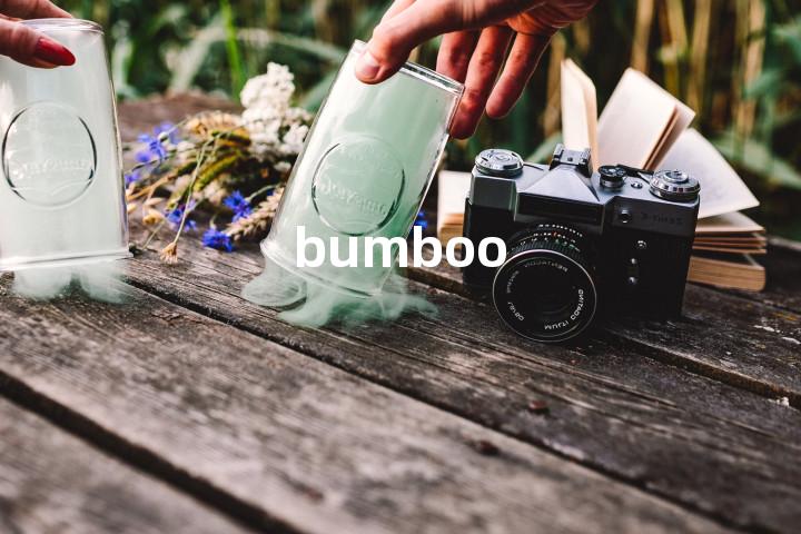 bumboo单词图解，单词释义场景配图