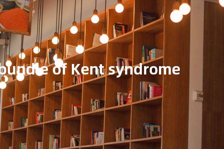 bundle of Kent syndrome单词图解，单词释义场景配图