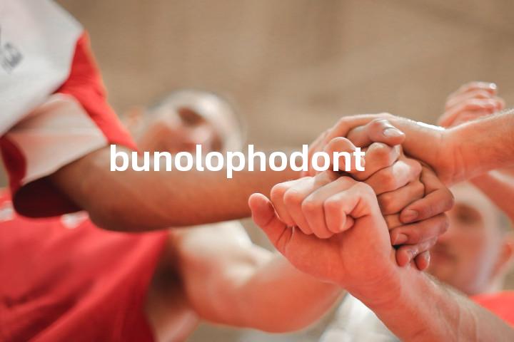 bunolophodont单词图解，单词释义场景配图
