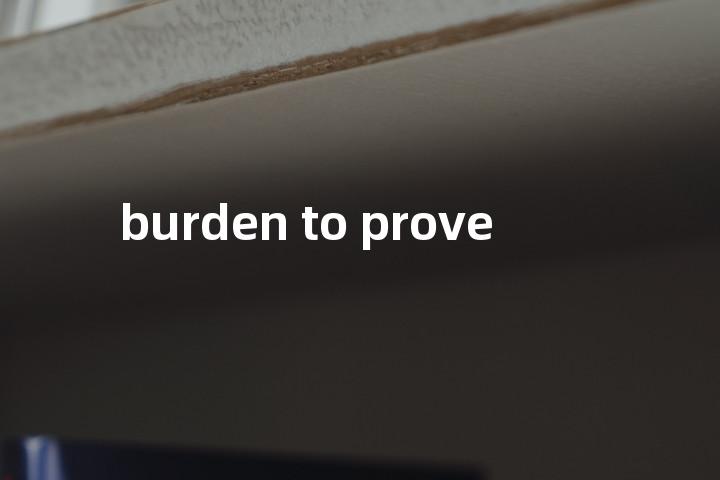 burden to prove单词图解，单词释义场景配图