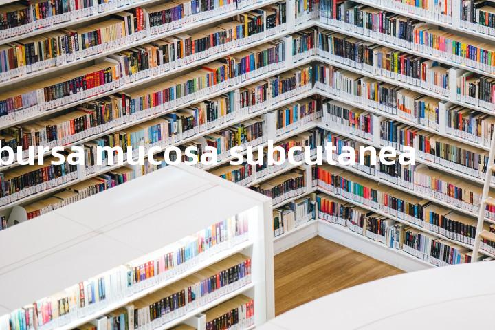 bursa mucosa subcutanea单词图解，单词释义场景配图