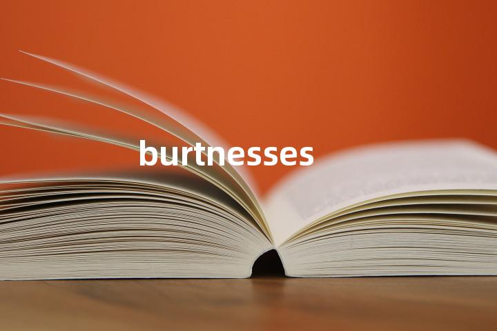 burtnesses单词图解，单词释义场景配图