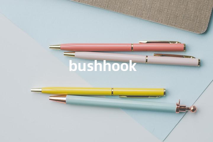 bushhook单词图解，单词释义场景配图