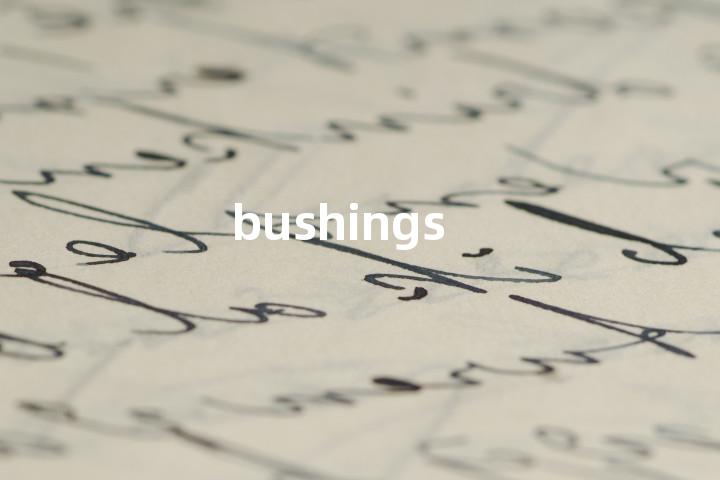 bushings单词图解，单词释义场景配图