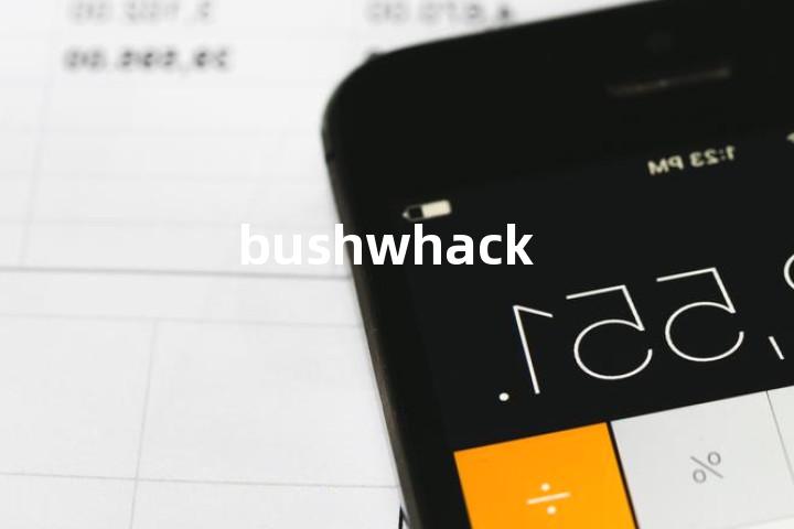 bushwhack单词图解，单词释义场景配图