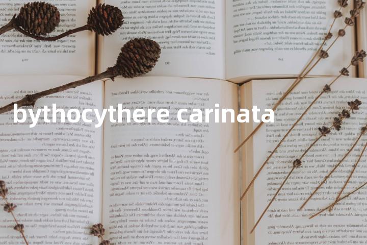 bythocythere carinata单词图解，单词释义场景配图