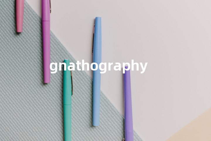 gnathography单词图解，单词释义场景配图