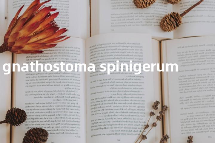 gnathostoma spinigerum单词图解，单词释义场景配图
