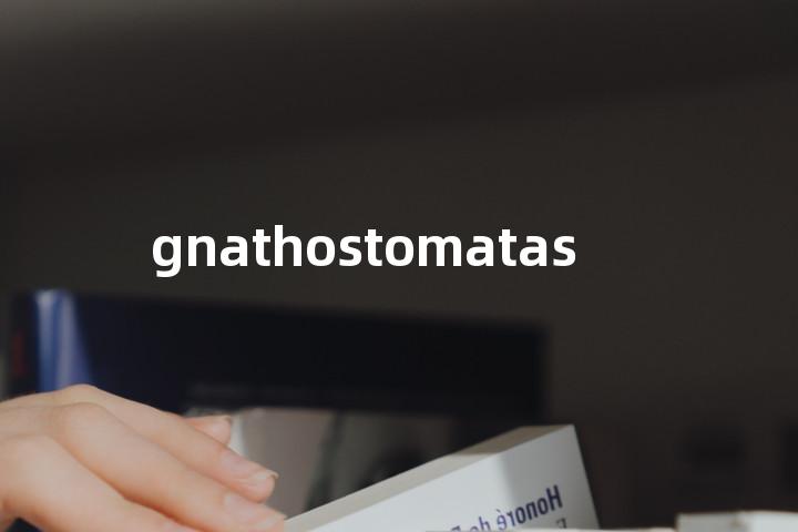 gnathostomatas单词图解，单词释义场景配图