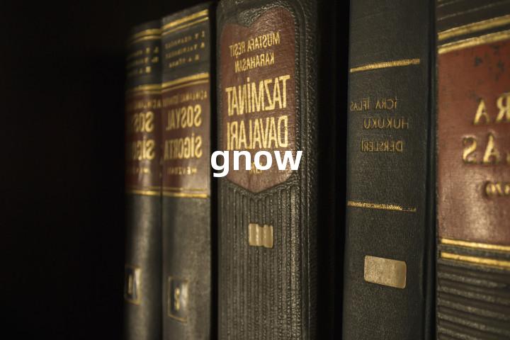 gnow单词图解，单词释义场景配图