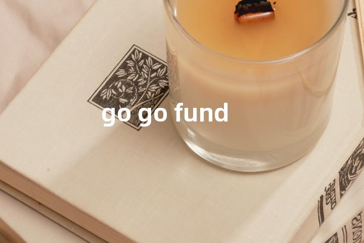 go go fund单词图解，单词释义场景配图