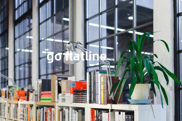 go flatline单词图解，单词释义场景配图