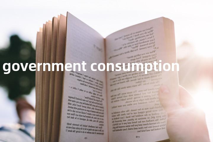 government consumption单词图解，单词释义场景配图
