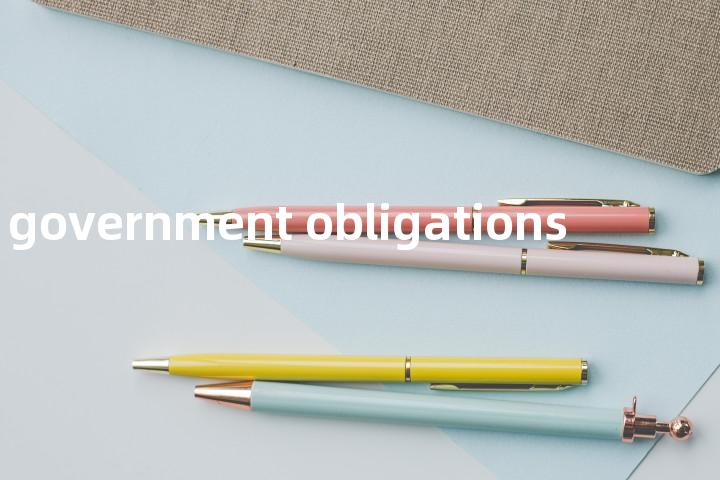 government obligations单词图解，单词释义场景配图
