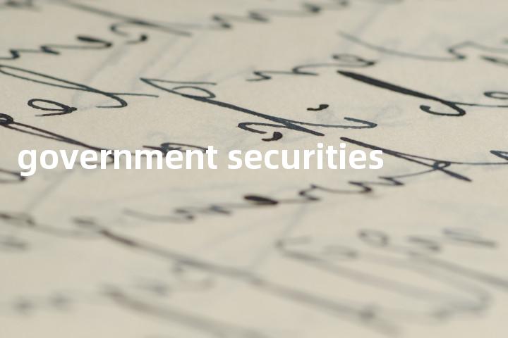 government securities单词图解，单词释义场景配图