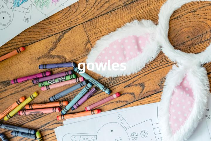 gowles单词图解，单词释义场景配图