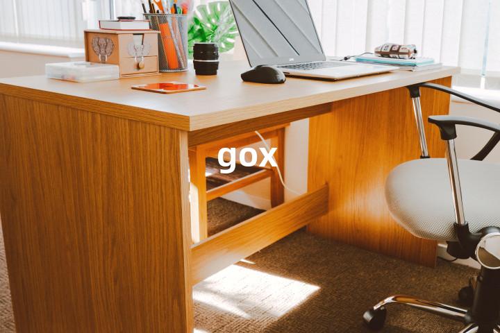 gox单词图解，单词释义场景配图
