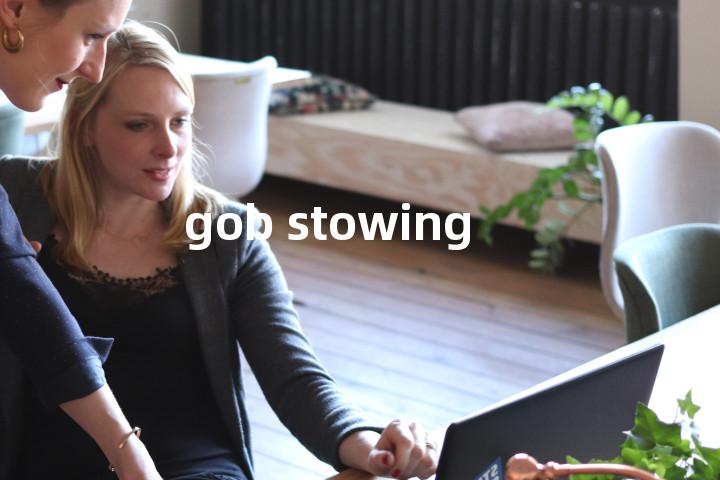 gob stowing单词图解，单词释义场景配图