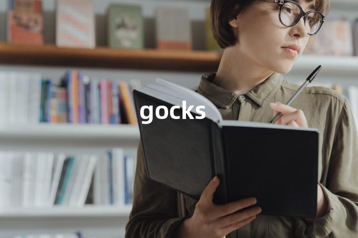 gocks单词图解，单词释义场景配图