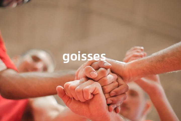 goisses单词图解，单词释义场景配图
