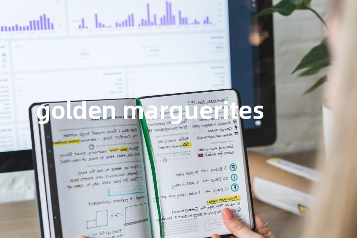 golden marguerites单词图解，单词释义场景配图