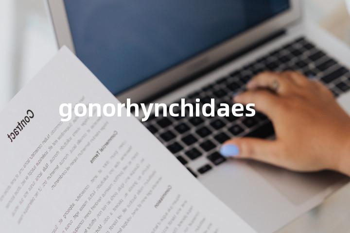 gonorhynchidaes单词图解，单词释义场景配图