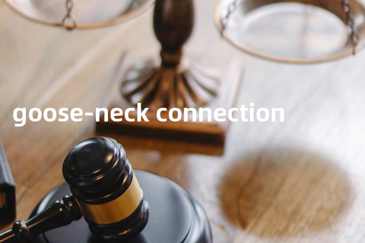 goose-neck connection单词图解，单词释义场景配图