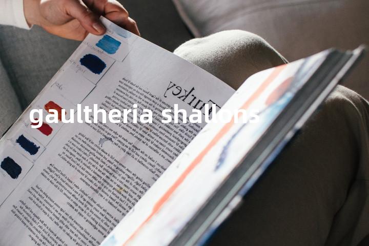 gaultheria shallons单词图解，单词释义场景配图