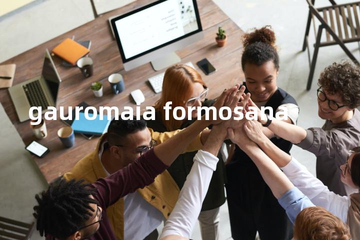 gauromaia formosana单词图解，单词释义场景配图
