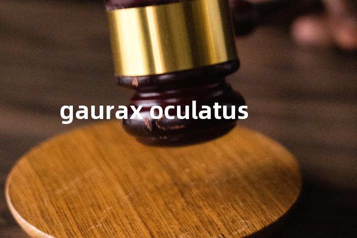 gaurax oculatus单词图解，单词释义场景配图