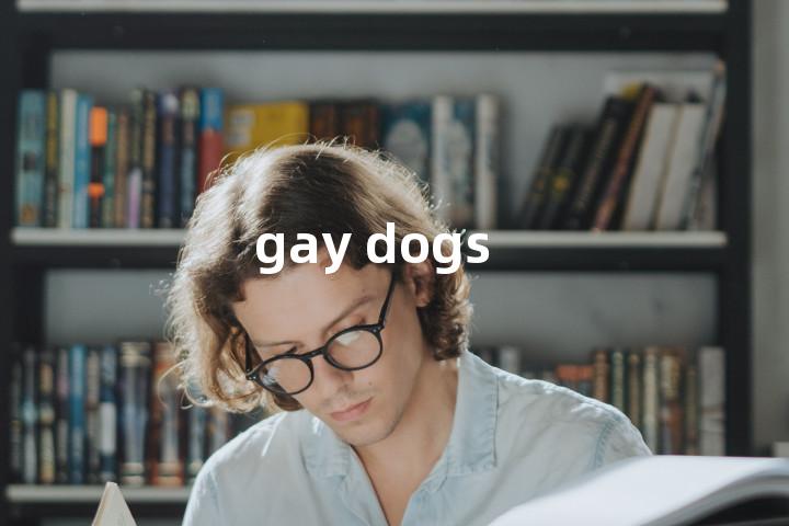 gay dogs单词图解，单词释义场景配图