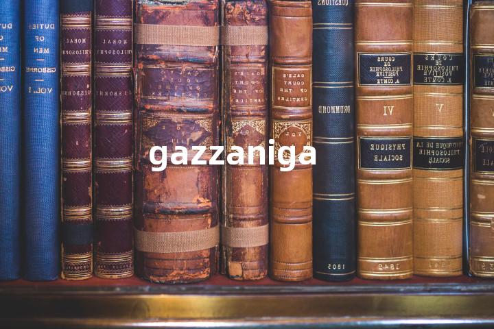 gazzaniga单词图解，单词释义场景配图