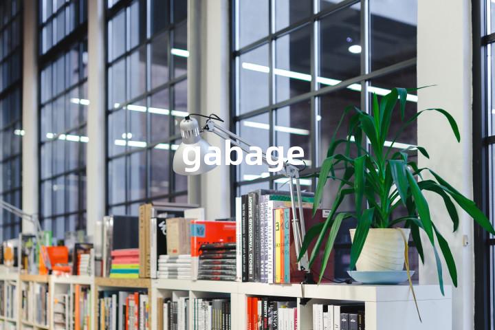gabage单词图解，单词释义场景配图