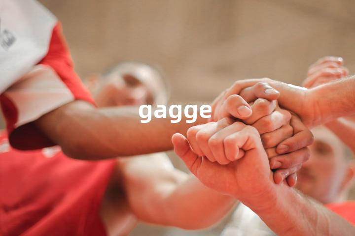 gagge单词图解，单词释义场景配图