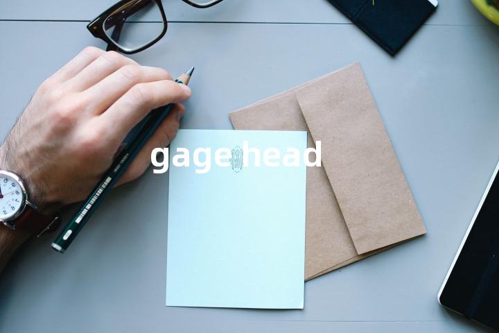 gage head单词图解，单词释义场景配图