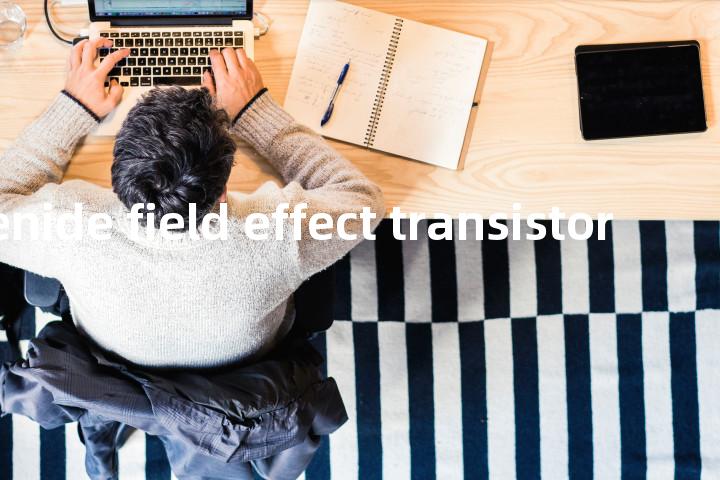 gallium arsenide field effect transistor单词图解，单词释义场景配图