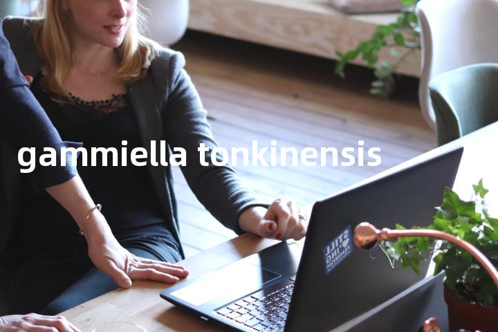 gammiella tonkinensis单词图解，单词释义场景配图
