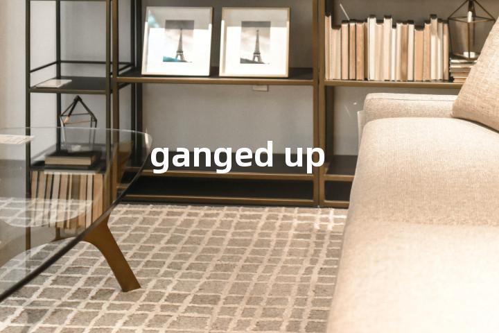 ganged up单词图解，单词释义场景配图